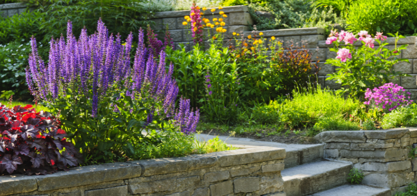 Landscaping Land News and Tips