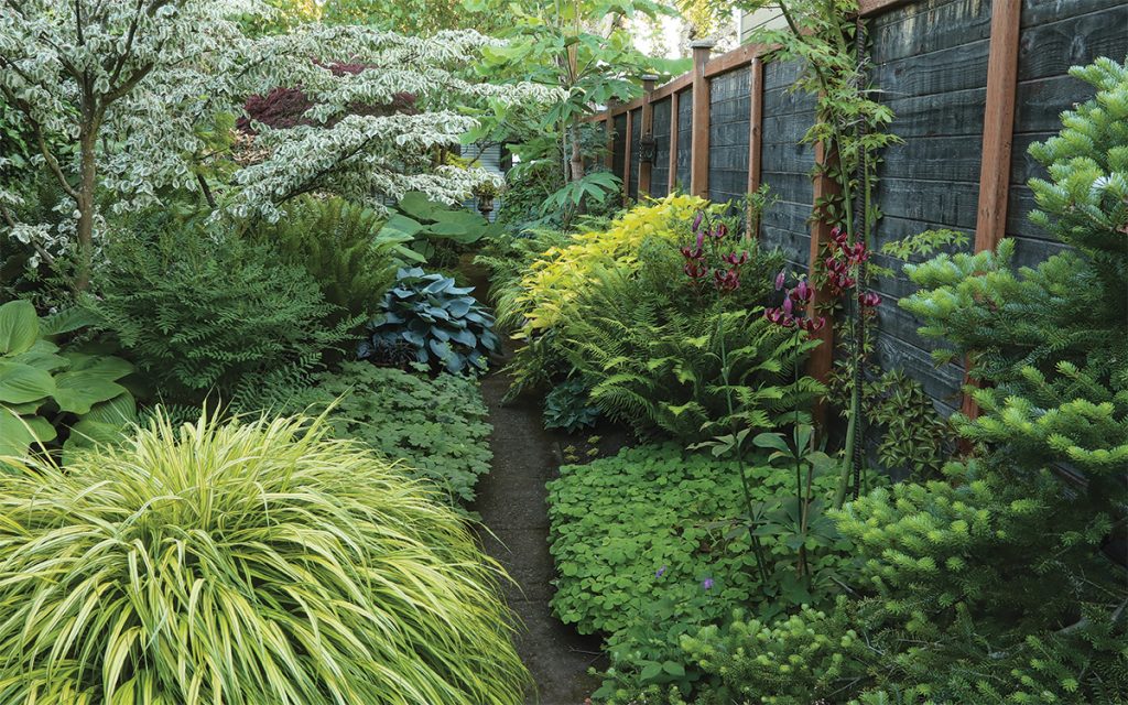 Rhythm and Movement Landscaping