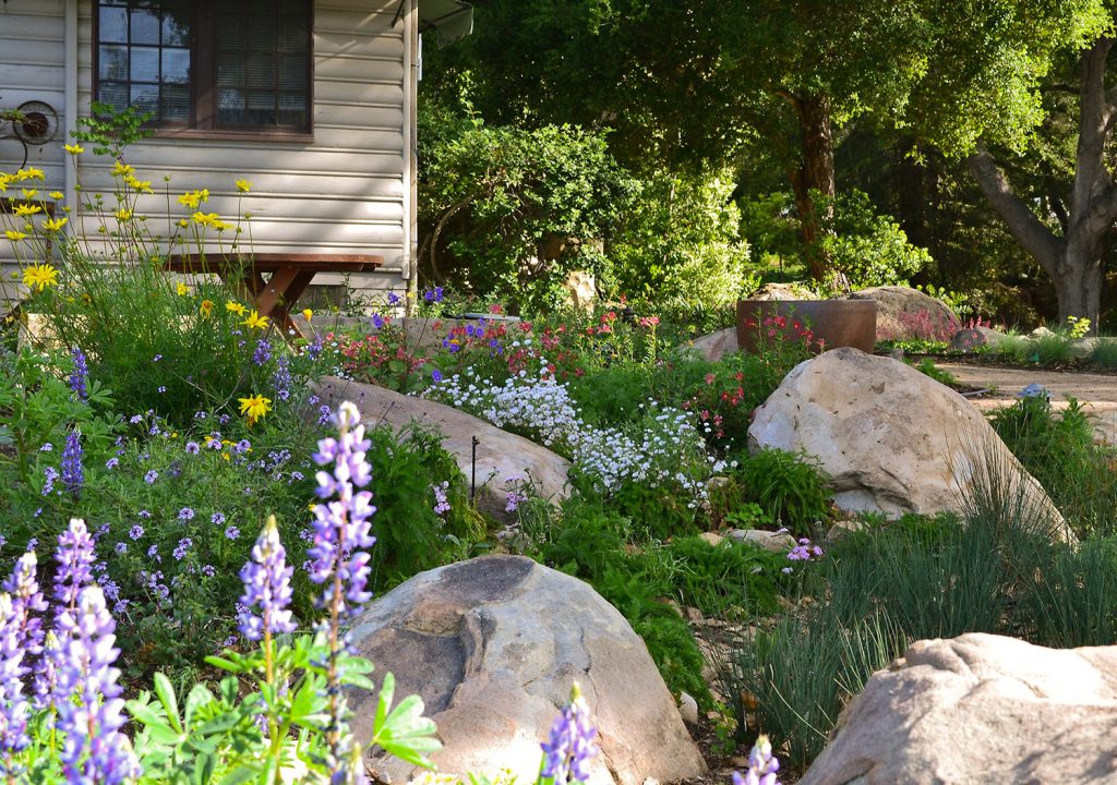 Landscaping with Native Plants