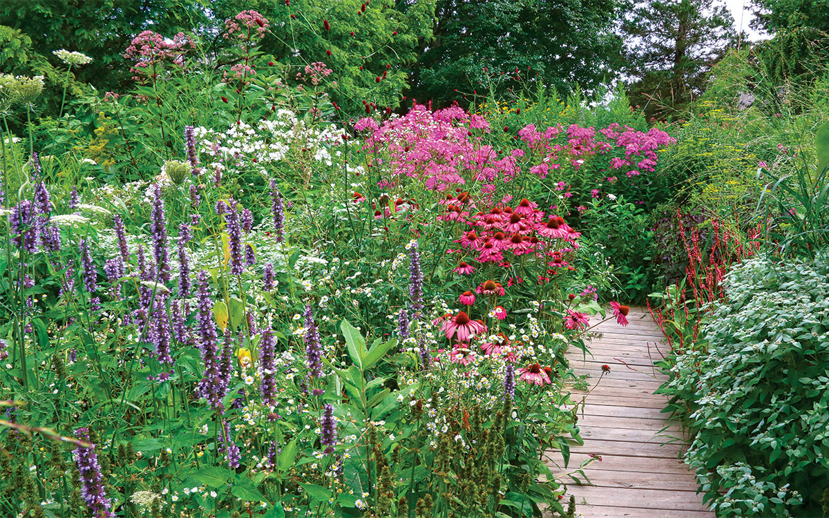 Pollinator-Friendly Gardens