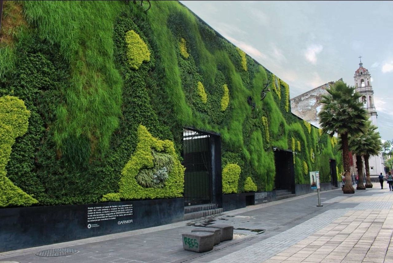 Green Walls and Vertical Gardens
