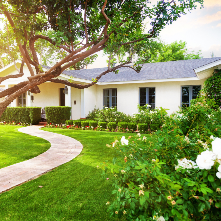 What is landscaping