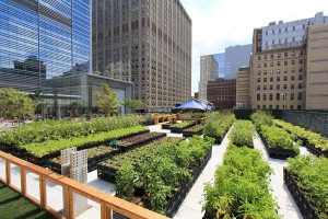 Urban Farming and Landscaping