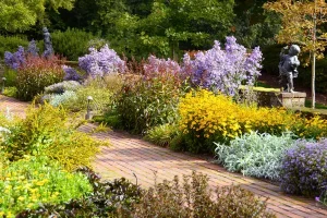 Native Plant Landscaping