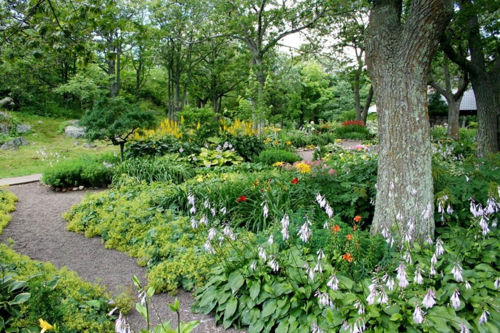 wildlife friendly landscaping