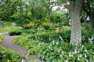 wildlife friendly landscaping