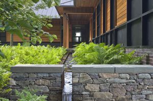 Landscape Design Principles