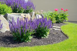 Low-Maintenance Landscaping