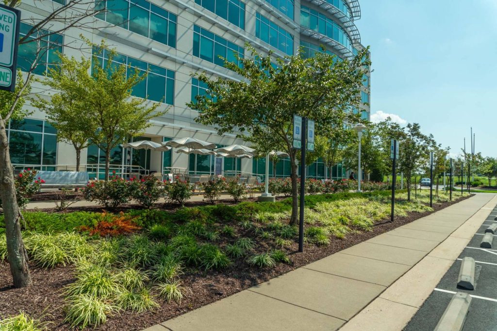 Commerical Landscaping Design