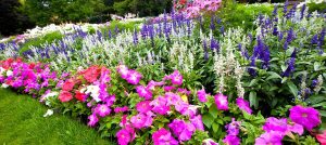 Seasonal Color in Landscaping