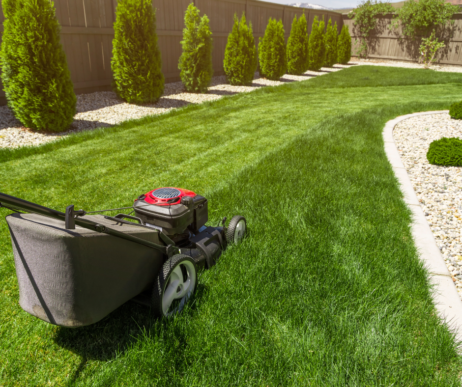 Lawn Care Guide